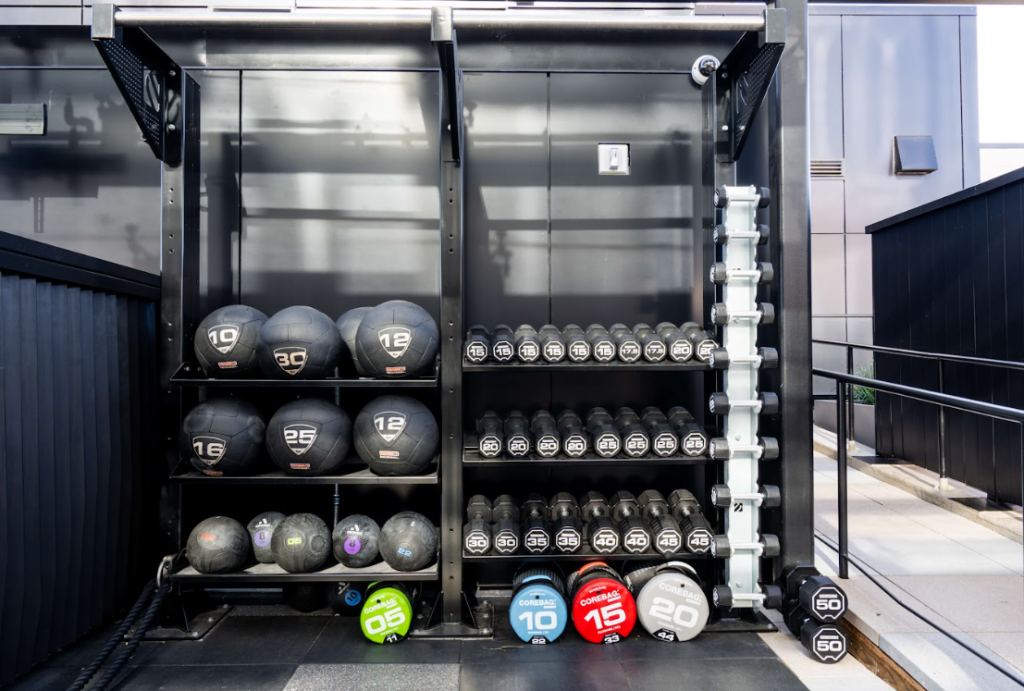 Chorus dumbbell and free weight station