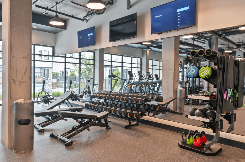 AJ Blue Beyond Free Weights